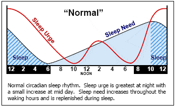 napping-circardian-rhythm