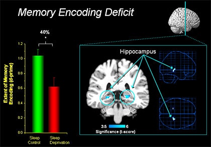 napping memory encoding