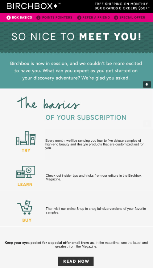 birchbox email showing basics of subscription email copywriting