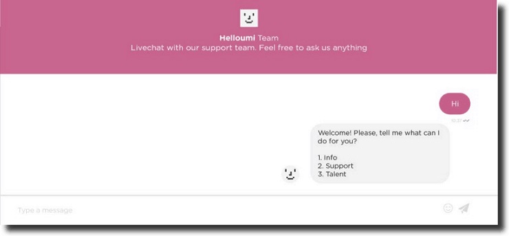 helloumi's huge glitch in replacing the entire landing page with one big chatbot