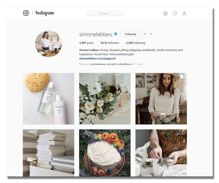 Simone Leblanc Instagram Branding System