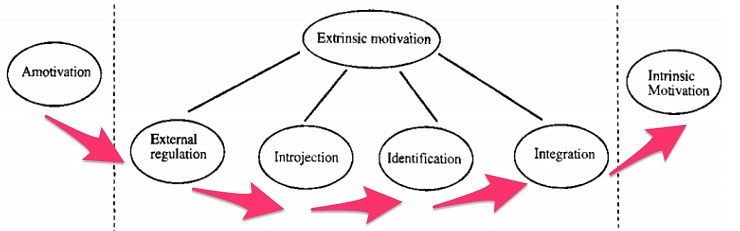 motivation types