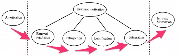 How to Use Extrinsic and Intrinsic Motivation to Start Your Business