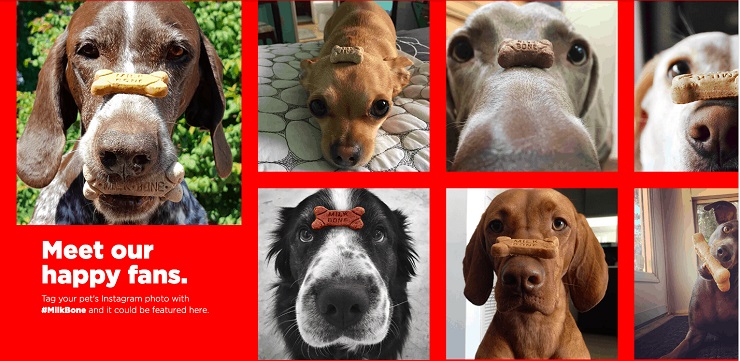 Milk-Bone's social proof Community Pictures of Dogs With Their Treats