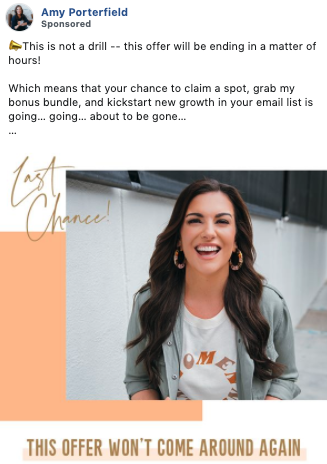Amy Porterfield CTA Limited Offer Facebook Funnel
